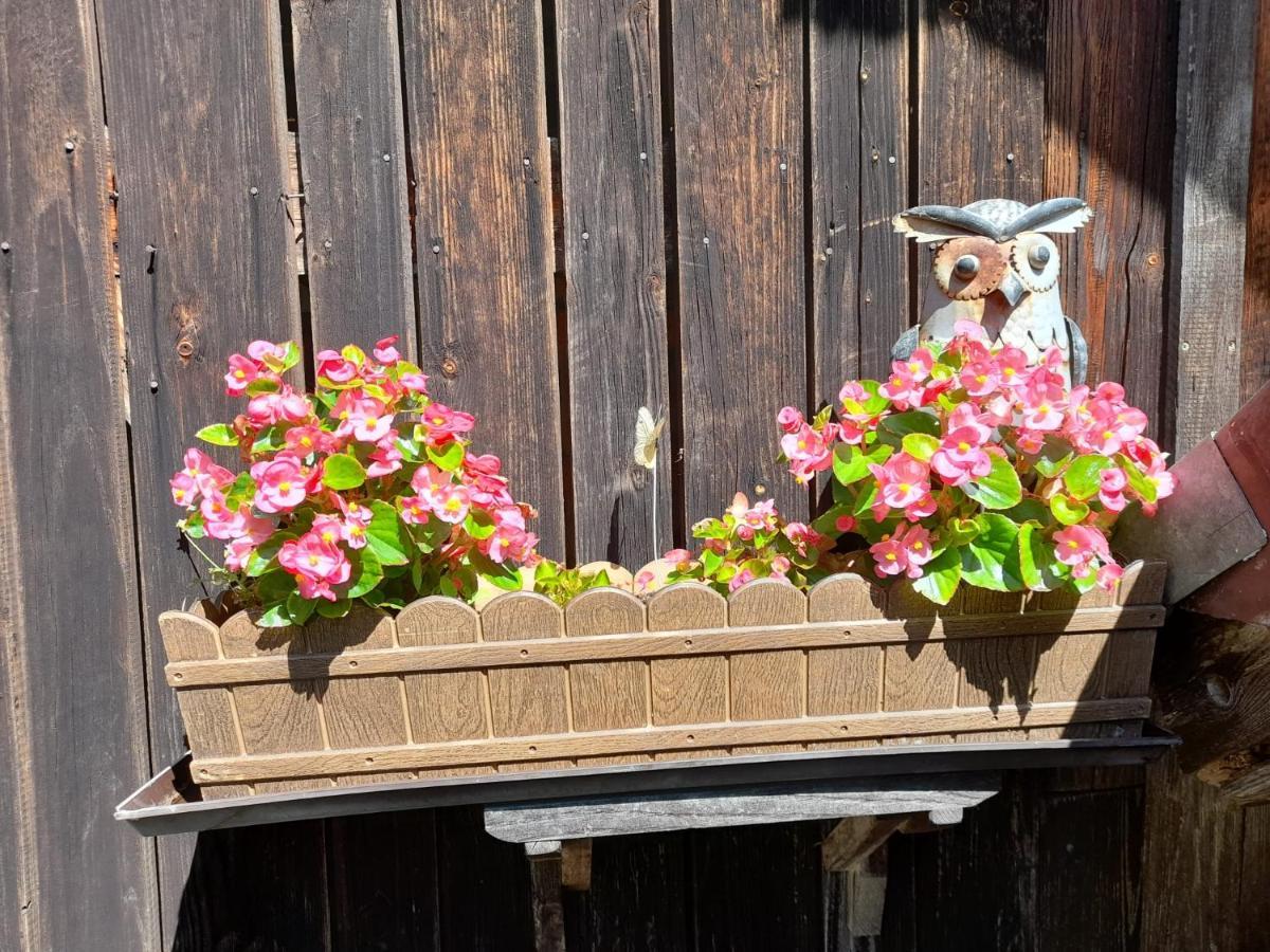 Ferienwohnung Im Seidlerhof Mit Balkon Und Garten Röhrnbach Exteriör bild