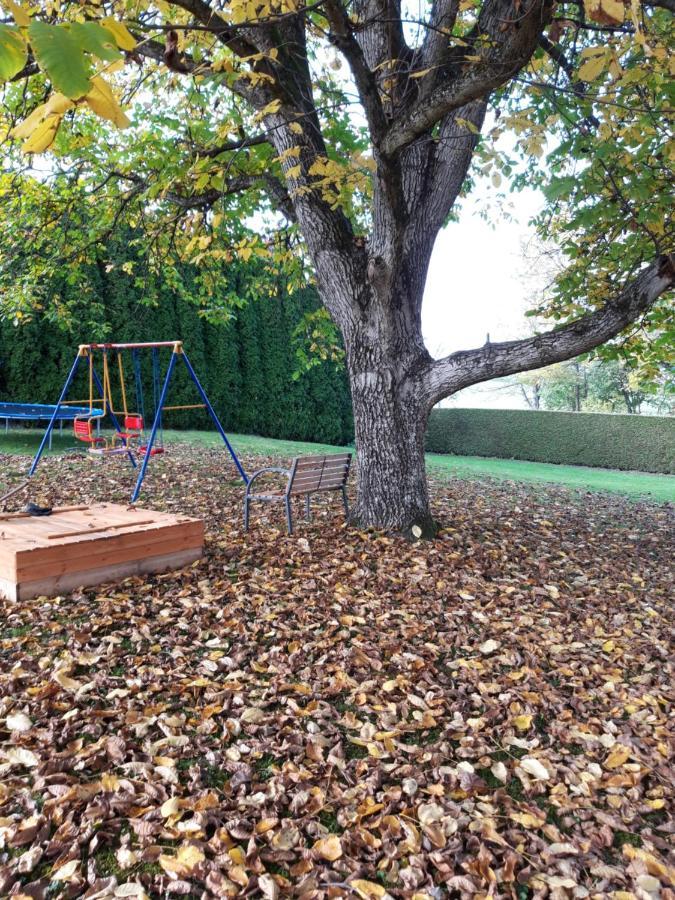 Ferienwohnung Im Seidlerhof Mit Balkon Und Garten Röhrnbach Exteriör bild