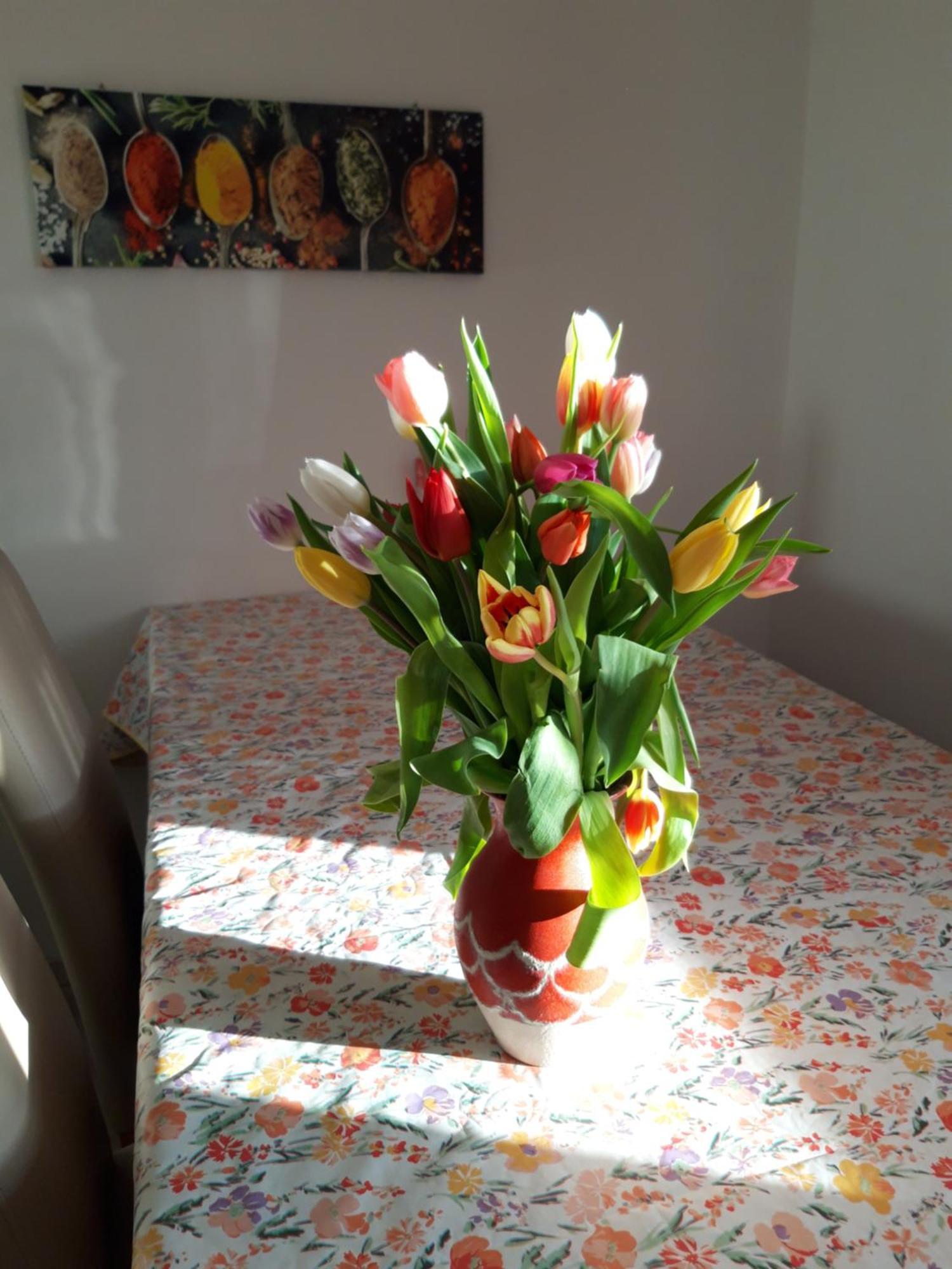 Ferienwohnung Im Seidlerhof Mit Balkon Und Garten Röhrnbach Exteriör bild